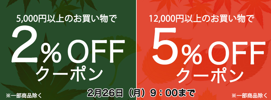 数量限定 訳あり品セール] 保阪流 ファスティングプレミアム