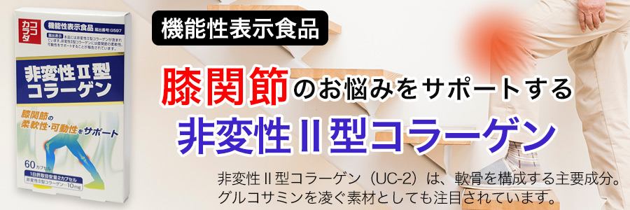 ココカラダ　非変性2型コラーゲン