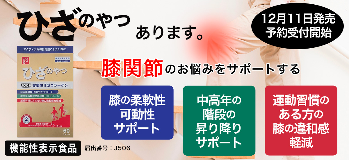 ココカラダ　ひざのやつ　非変性Ⅱ型コラーゲン