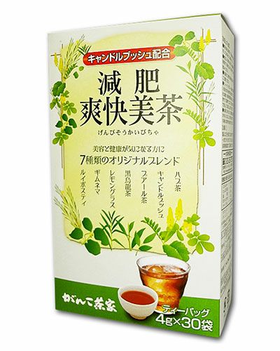 減肥爽快美茶　4g×30包　【がんこ茶屋】1