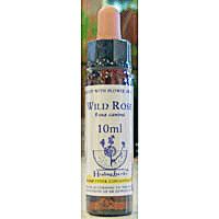 カリス　ヒーリングハーブス　フラワーエッセンス　14　ワイルドローズ　(品番：1860014)　【カリス成城】1