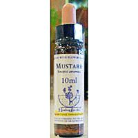 カリス　ヒーリングハーブス　フラワーエッセンス　17　マスタード　(品番：1860017)　【カリス成城】1