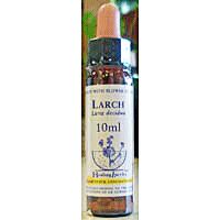 カリス　ヒーリングハーブス　フラワーエッセンス　26　ラーチ　(品番：1860026)　【カリス成城】1