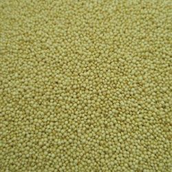 カリス　アマランサス　シード　ホール　WH　KBA　20g　(品番：342)　【カリス成城】1