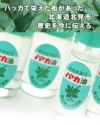 ハッカ油スプレー 10ml　【北見ハッカ通商】2