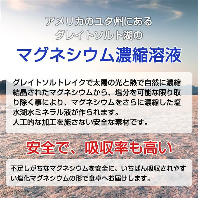 アメリカ　ソルトレイク湖の高濃度マグネシウム
