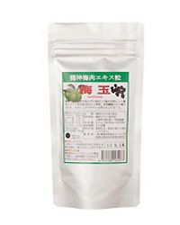 龍神梅肉エキス粒　梅玉(大)　90g(約450粒) 【龍神自然食品センター】1