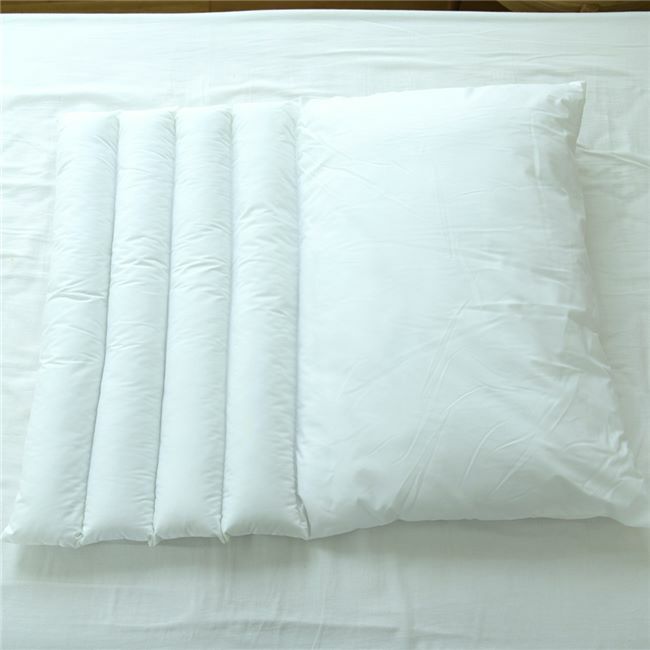 Danfill　ダンフィル　ピローミー　65cm×45cm　JPA013　2個セット　専用カバーAKF17　2枚プレゼント付き　【ダンフィル】3