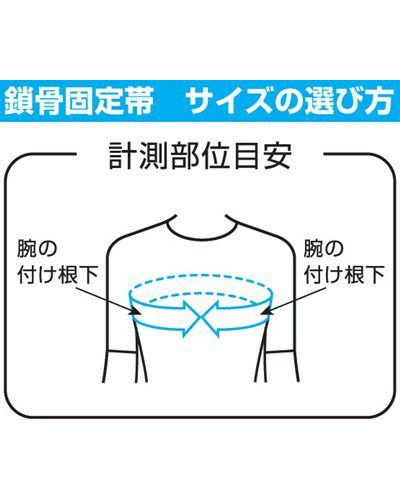 ニュートラビクルバンド　L　【竹虎】2