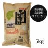 魚沼産コシヒカリ　5kg　【田中米穀】