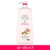 レイヴィー　プレミアムボディシャンプー　ローズヒップ　1300ml 【アクシス】1