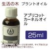 生活の木　プラントオイル　アプリコットカーネルオイル　25ml　【生活の木】1