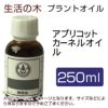 生活の木　プラントオイル　アプリコットカーネルオイル　250ml　【生活の木】1