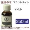 生活の木　プラントオイル　椿　（カメリア）　オイル　250ml　【生活の木】1