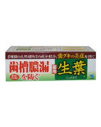 小林製薬  薬用ハミガキ　生葉a　100g《医薬部外品》　【小林製薬】1