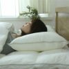 Danfill　ダンフィル　フィベールピロー　45×65cm　2個セット＋専用枕カバーAKF01　2枚付 　【アペックス】4