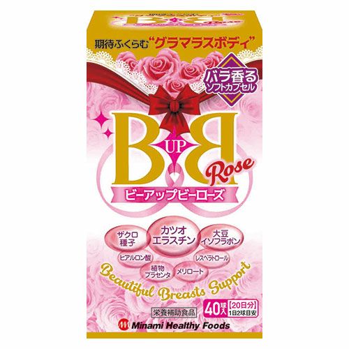 BupBローズ　460mg×40球 【ミナミヘルシーフーズ】1