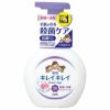 ライオン　キレイキレイ　泡ハンドソープ フローラルソープの香り　250ml 《医薬部外品》1