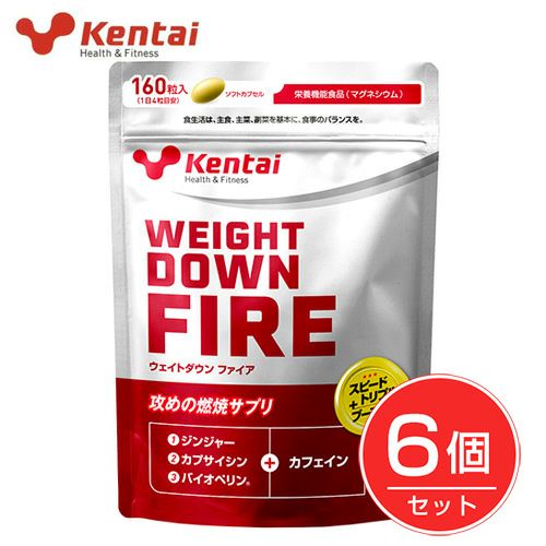 ケンタイ　ウエイトダウン　ファイア　670mg×160粒×6個セット 【健康体力研究所　(kentai)】1