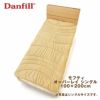 ダンフィル　Danfill　モフティ　遠赤わた あたたかオーバーレイ　シングル　100×200cm 【アペックス】1