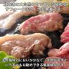 北海道産　サフォークラムたれ付　600g (150g×4)　【肉の山本】3