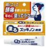 塗るズッキノン軟膏　15g　【小林製薬】1