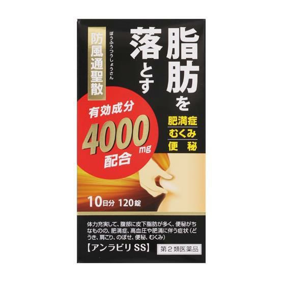 アンラビリSS　120錠　【阪本漢法製薬】1