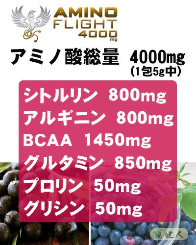 アミノフライト4000mg (AMINO FLIGHT) 5g×120本入　【ZERO BASE】3