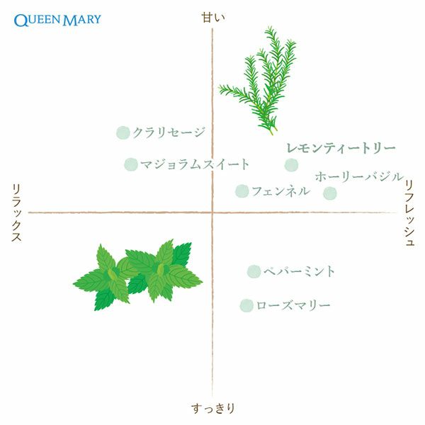 フレーバーライフ　クイーンメリーオーガニック精油　レモンティートリー　5ml【フレーバーライフ社】2