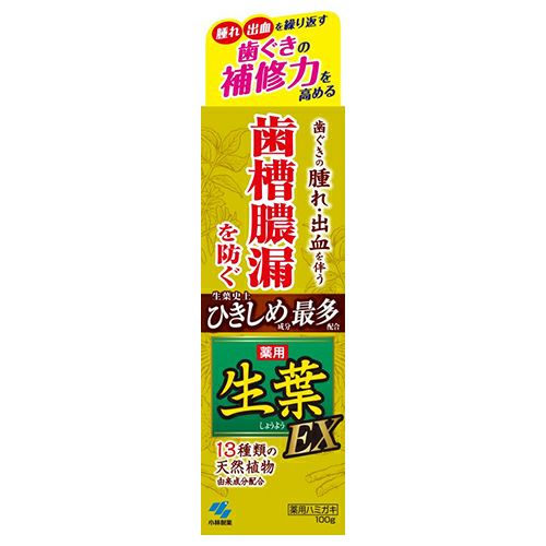 小林製薬　薬用 生葉EX　100g　《医薬部外品》　【小林製薬】1