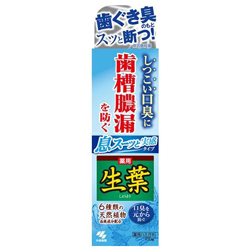 小林製薬　薬用 生葉　息スーッと実感タイプ　100g　《医薬部外品》　【小林製薬】1