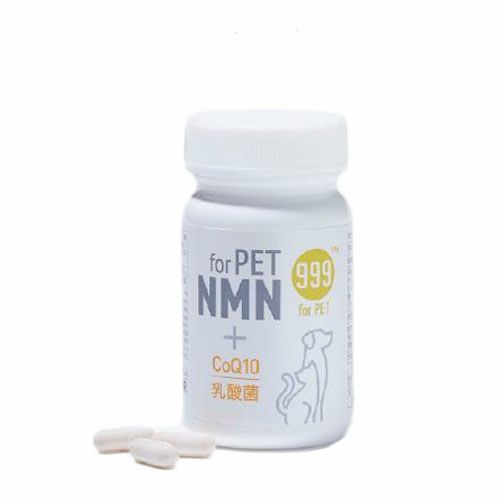 バリューマーケティング研究所 999 for PET NMN 60粒 - バリューマーケティング研究所 【ヘルシーグッド本店】