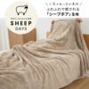 シープボアシリーズ　毛布  シングル　アイボリー　kz-cm0530　【北沢】2
