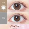エバーカラーマンスリー　カラコン　1ケ月用　14.5mm　2枚　［新木優子 カラーコンタクト]　高度管理医療機器 【アイセイ】5