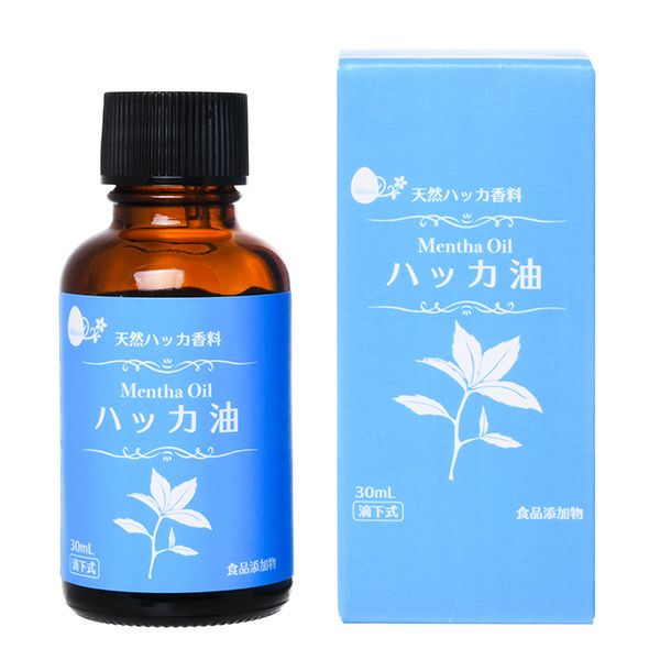 小堺製薬　ハッカ油　30ml　【小堺製薬】1