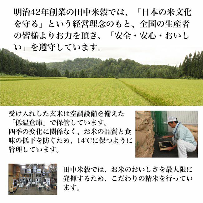 新潟産新之助 5kg　【田中米穀】3