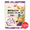 糖質10g以下のロカボレーズンサンド　6個×12個セット　【シルビア】1