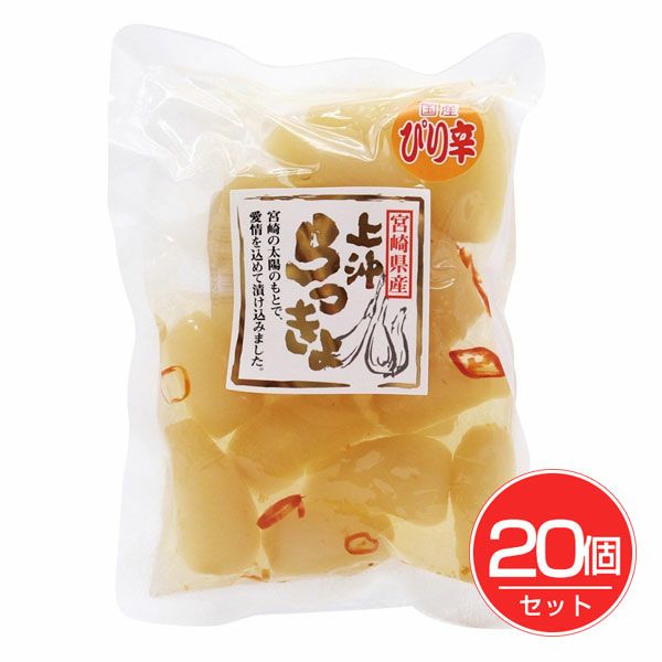 上沖産業　宮崎県産ピリ辛らっきょう　100g×20個セット　【上沖産業】1