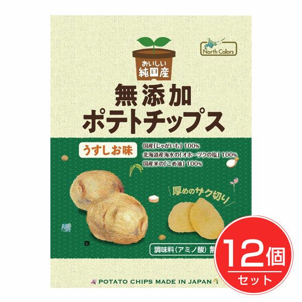 純国産　ポテトチップス　うすしお味　55g×12個セット　【ノースカラーズ】1