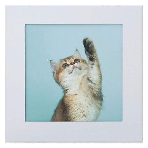 アートトワレ  ねこ  003-cat　壁に飾る防災トイレ処理セット(5回分)  ATW-5　【まいにち】1