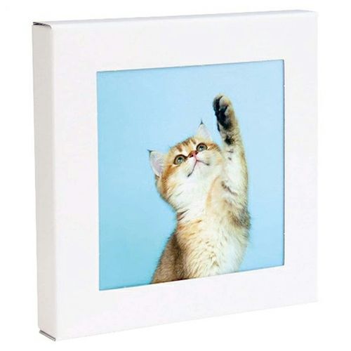 アートトワレ  ねこ  003-cat　壁に飾る防災トイレ処理セット(5回分)  ATW-5　【まいにち】2