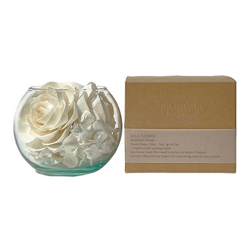 Sola　Flower　ソラフラワー　ソラリウム　ローズ　【三和トレーディング】1