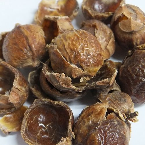 カリス　ソープナッツ　シェル　ホール　100g　※食用不可　(品番：566)　【カリス成城】1
