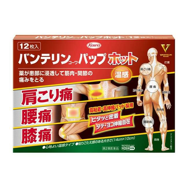 バンテリンコーワパップホット　12枚　【興和】1