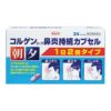 コルゲンコーワ鼻炎持続カプセル　24カプセル　【興和】1