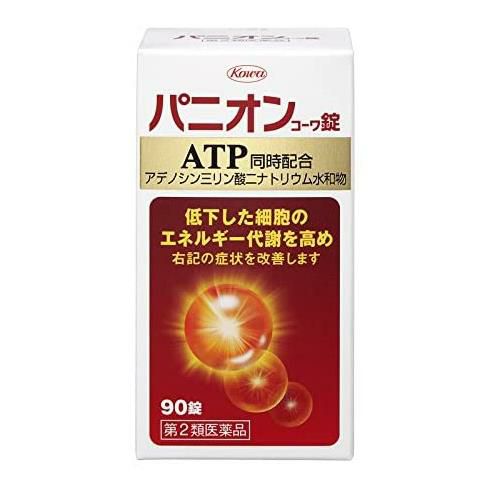 パニオンコーワ錠　90錠　【興和】1
