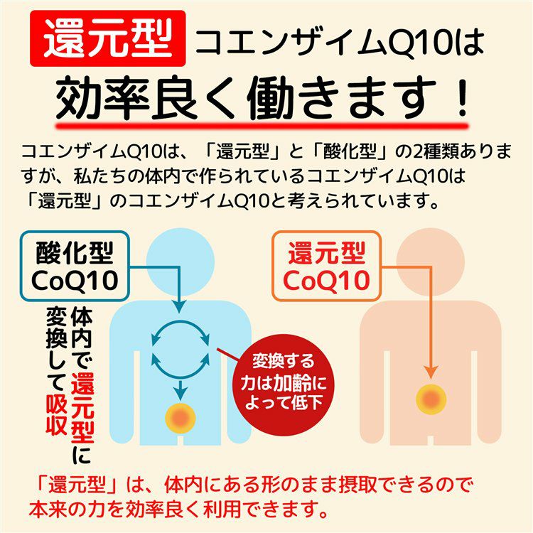 コエンザイムQ10は「酸化型」と「還元型」の2種類がありますが、還元型は体でそのまま使われるので効率がいいです。