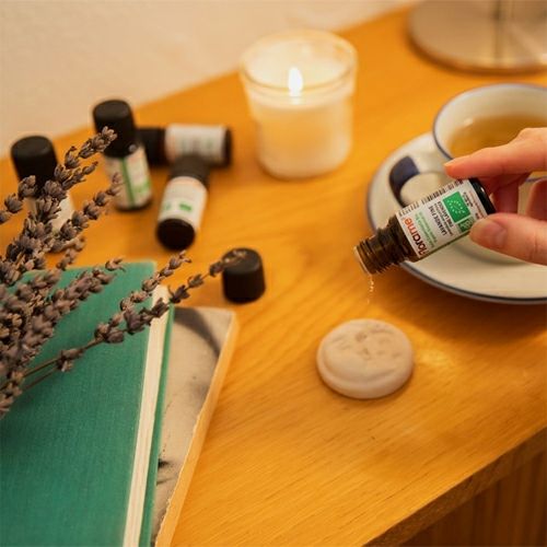 フローラム　ペパーミント　Bio　10ml　【おもちゃ箱】2