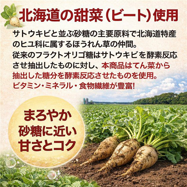 保阪流　フラクトオリゴ糖　乳酸菌・ビフィズス菌PLUS　プレーン　500g×4本セット3