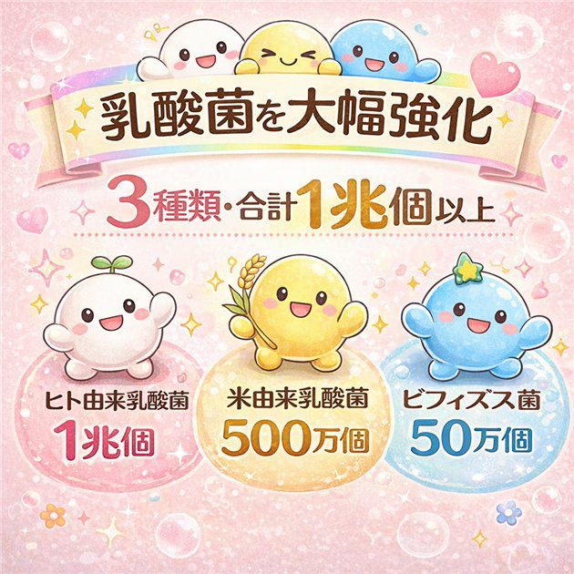 保阪流　フラクトオリゴ糖　乳酸菌・ビフィズス菌PLUS　黒糖×メープル　500g×2本セット4